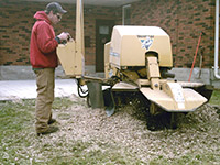 Stump Grinding