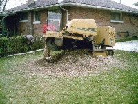 Stump Grinding